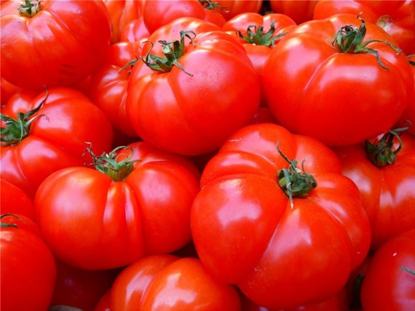 Σχεδόν μισός τόννος ντομάτες Αλβανίας κατασχέθηκαν και καταστράφηκαν στον Πειραιά