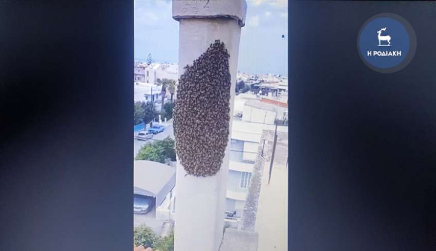 Βίντεο: Σμάρι χιλιάδων μελισσών «εγκαταστάθηκε» σε καμινάδα σπιτιού στην πόλη της Ρόδου