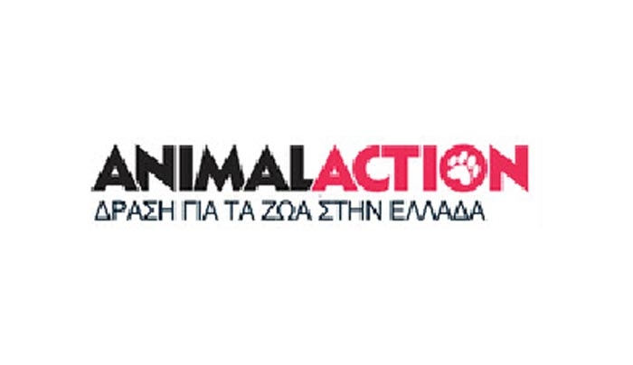 Πρόγραμμα Φροντίδας Ιπποειδών στην Κω από την Animal Action Hellas