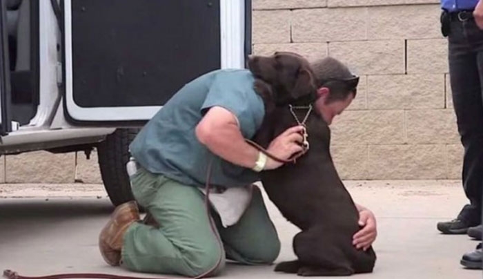 Βίντεο: Μια φυλακισμένη γυναίκα μεγάλωσε αυτόν το σκύλο μέσα στην φυλακή. Δείτε τι έγινε όταν τον αποχαιρέτησε