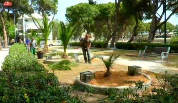Ξαναφυτεύονται οι φοίνικες στα πάρκα της Β. Παύλου (Βίντεο)