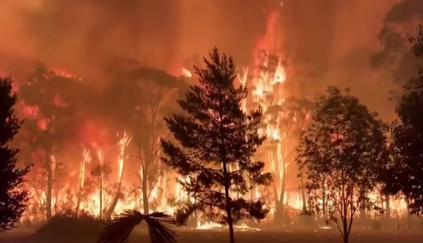 Η «κλιματική κατάρρευση» αλλάζει τον πλανήτη: Από τις πυρκαγιές μέχρι τις πλημμύρες και τις επιδρομές ακρίδων