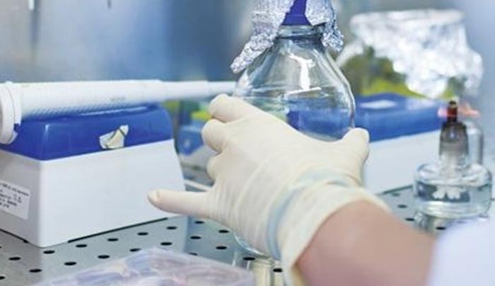Πειραματικό νανοσωματίδιο σε ρόλο «δούρειου ίππου» εναντίον άσθματος και αλλεργιών