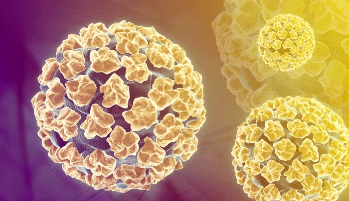 Νέα στοιχεία για τον τρόπο μετάδοσης του HPV