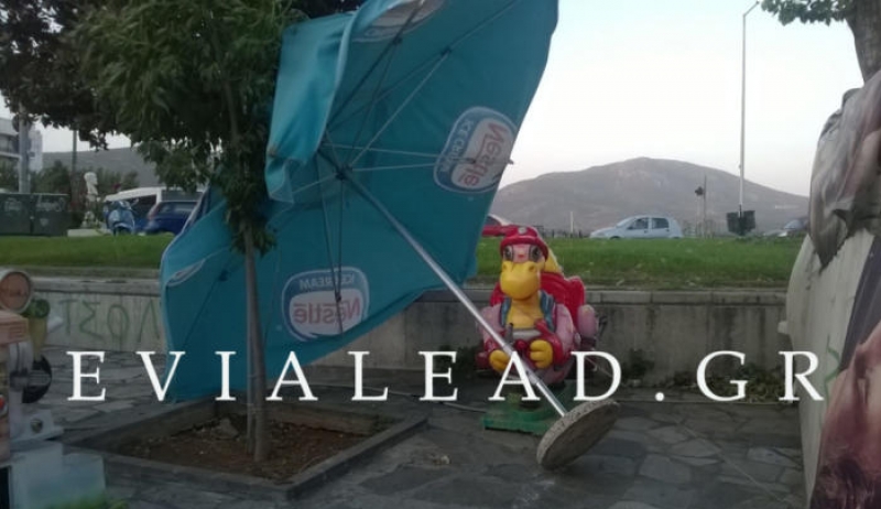 Χαλκίδα: Σάρωσαν τα… πάντα οι ισχυροί άνεμοι! Video