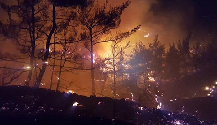 Ιεράπετρα: Ανεξέλεγκτη η φωτιά στο δάσος - Στρατός και ελικόπτερα στο Σελάκανο