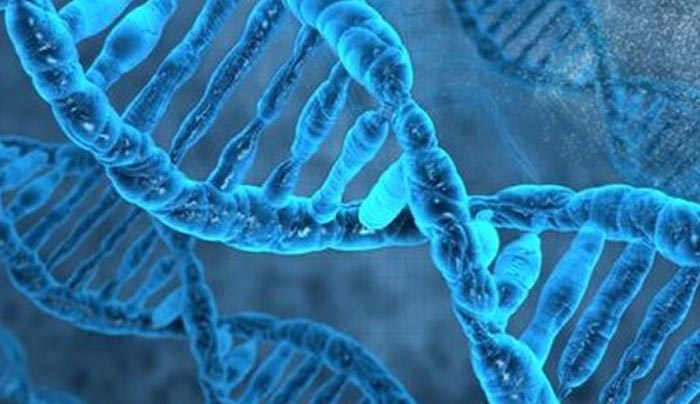 Σπουδαία ανακάλυψη: Τα γονίδια συνεχίζουν να λειτουργούν αρκετές μέρες μετά τον θάνατο