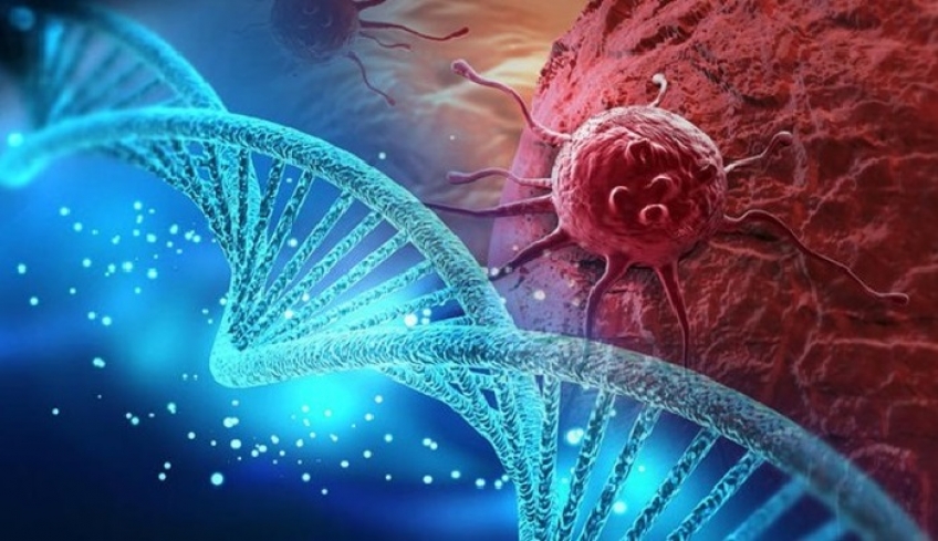 Ανακάλυψαν το πρωταρχικό “κύτταρο προέλευσης” που ίσως ευθύνεται για κάθε τύπο καρκίνου