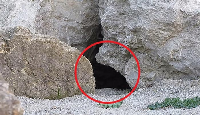 Τοποθέτησαν μια κάμερα έξω από αυτή την σπηλιά και δείτε τι κατέγραψαν! (Βίντεο)