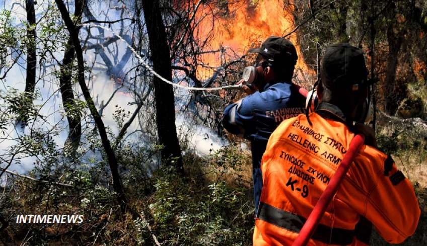 Λακωνία: Μαίνεται η μεγάλη πυρκαγιά σε δασική έκταση στη Βαρβίτσα -Μεγάλο το μέτωπο, δύσβατο το σημείο [βίντεο]