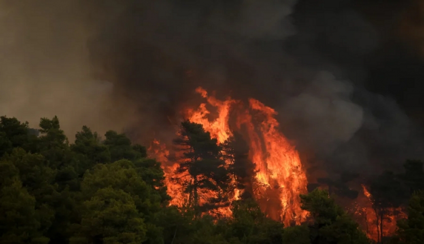 Φωτιά: Πύρινη κόλαση στην Εύβοια, στις φλόγες Ελληνικά, Βασιλικά και Ψαροπούλι (βίντεο)