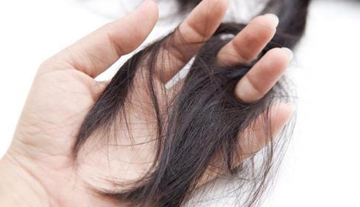 Σου πέφτουν τα μαλλιά;;; Τρία ΜΑΓΙΚΑ υλικά για να ξανά βγάλεις μαλλιά μέσα σε 10 ημέρες!