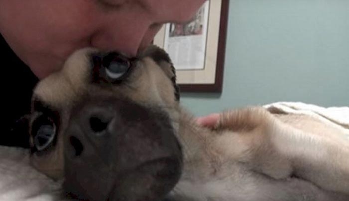 Φιλάει για τελευταία φορά τον σκύλο της που πεθαίνει. Και ξαφνικά συμβαίνει το ΘΑΥΜΑ! (Βίντεο)