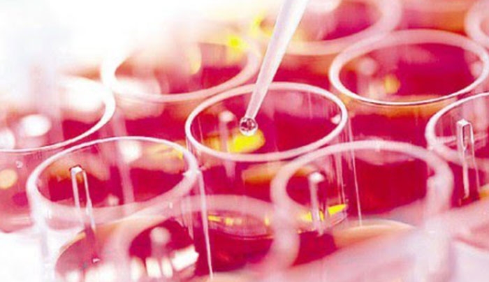 Μεγέθυνση και πάχυνση πέους επιτυγχάνουν πλέον οι  ανδρολόγοι χάρη στη χρήση αυτόλογων βλαστοκυττάρων!