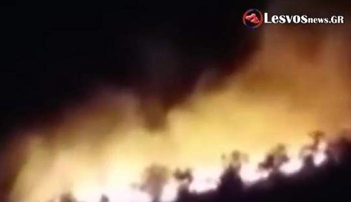 Ολονύχτια μάχη με τις φλόγες στη Λέσβο -Ξέσπασε φωτιά στον ελαιώνα της Μόριας [βίντεο]