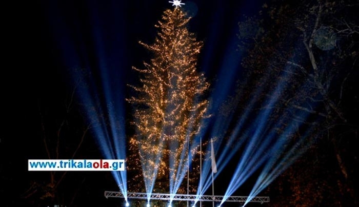 Τρίκαλα: Αυτό είναι το μεγαλύτερο φυσικό χριστουγεννιάτικο δέντρο της χώρας;; [φωτό, βίντεο]