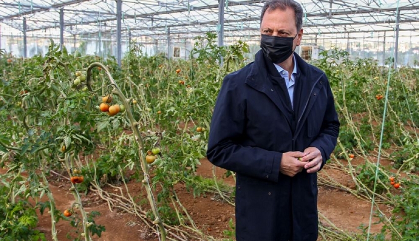 Επιδοτήσεις 400 εκατ. ευρώ για βιολογικές καλλιέργειες