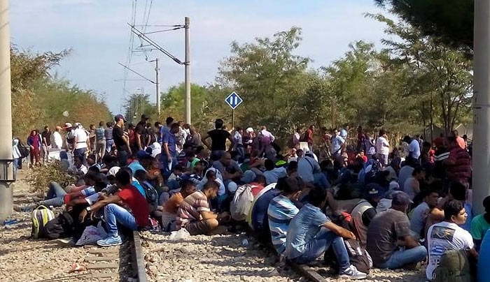 «Αλληλέγγυοι» ξεσηκώνουν τους πρόσφυγες της Ειδομένης - ΒΙΝΤΕΟ