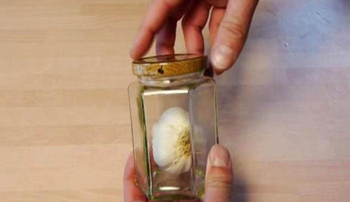 Βάζει ένα σκόρδο μέσα σε ένα βάζο. Ο λόγος που το κάνει θα σας βοηθήσει (Βίντεο)