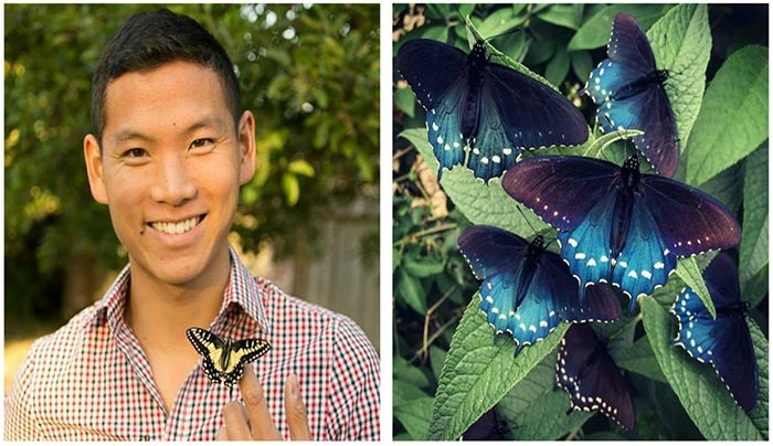 Αυτός ο βιολόγος αναπαράγει μόνος του σπάνια είδη πεταλούδας στην πίσω αυλή του (Φωτό)