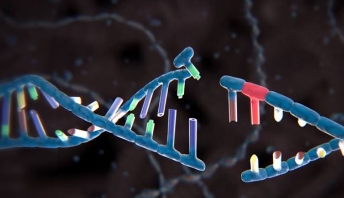 Για πρώτη φορά: Επιστήμονες κατέγραψαν πολύπλοκες μνήμες στο DNA ανθρώπινων κυττάρων