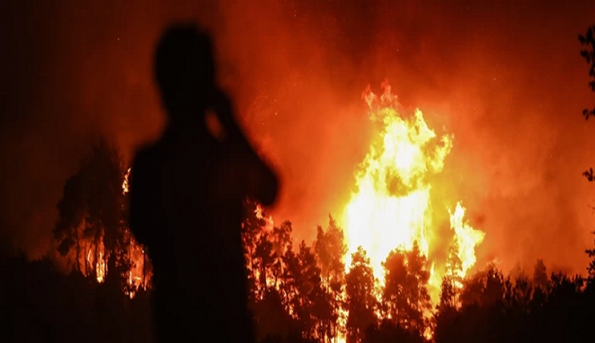 Φωτιά στην Εύβοια: Απεγκλωβίστηκαν 630 πολίτες από την Αγία Άννα - Εκκενώθηκε η Στροφυλιά και η Κοκκινομηλιά