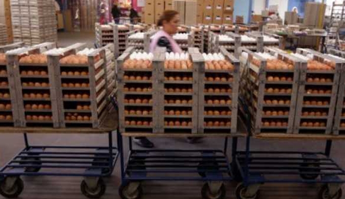 Σκάνδαλο μολυσμένων αυγών: Τι λέει ο αντιπρόεδρος του ΕΦΕΤ για την Ελλάδα