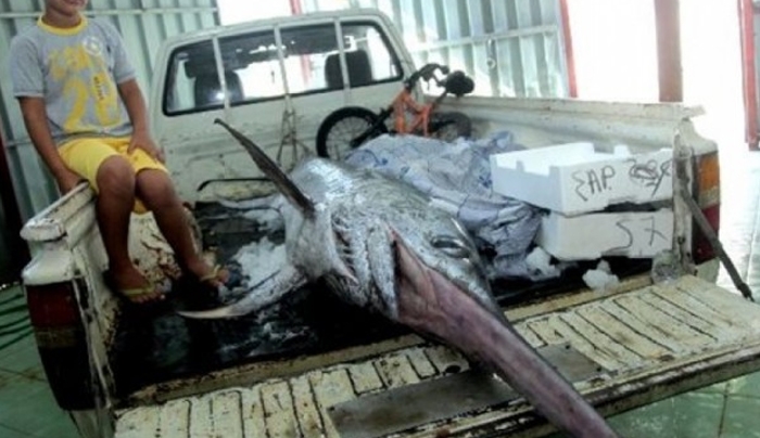 Αστακός: Τα δίχτυα του ψαρά για αθερίνα έκρυβαν τη μεγάλη έκπληξη που βλέπετε