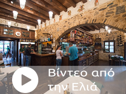 elia-video