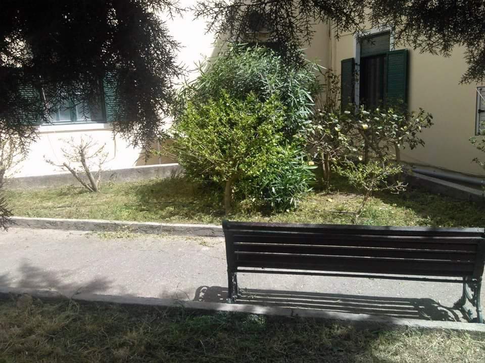 IMG 1096614830076