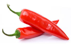 kauteri