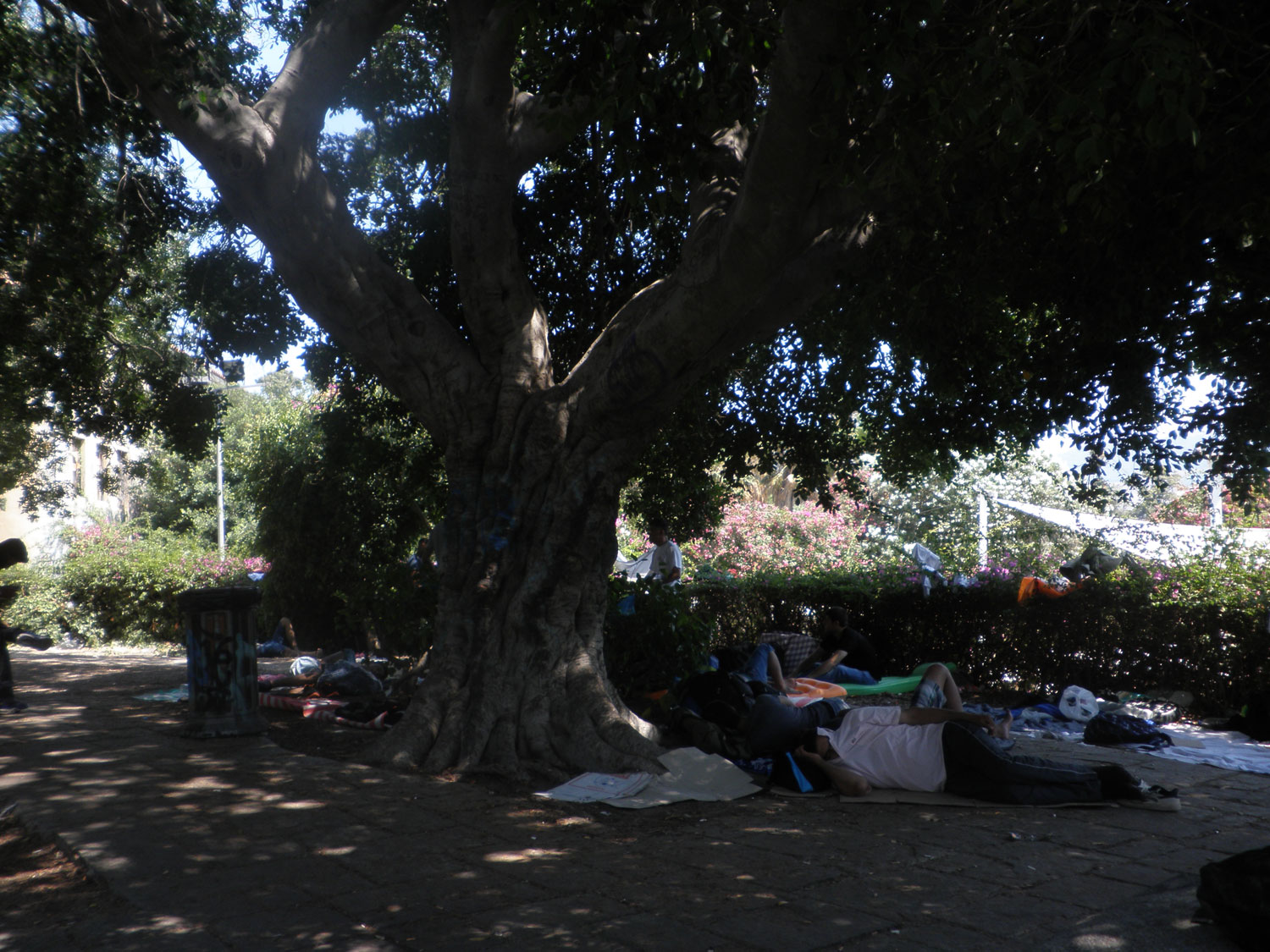 sleeping park
