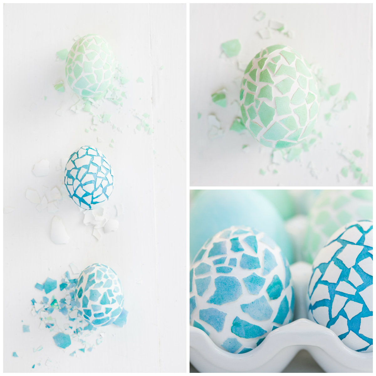 egg8