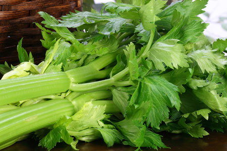 celery selino