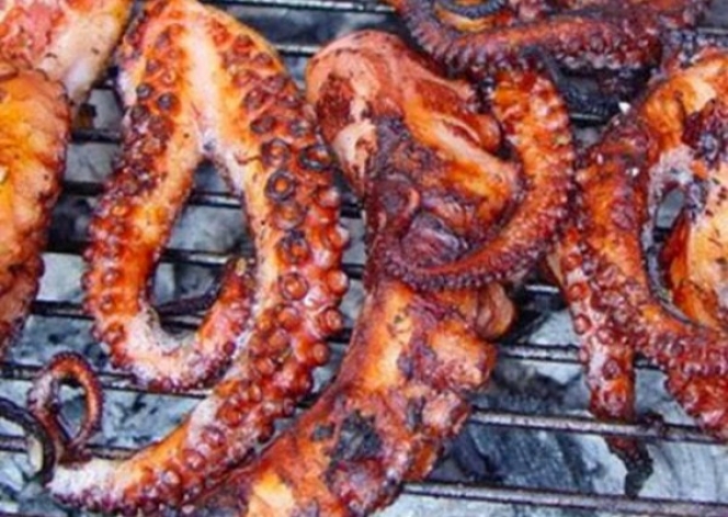 xtapodi