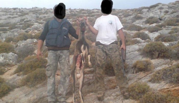 Κρήτη: Σκότωσαν κρι κρι και ανέβασαν στο διαδίκτυο σκληρές φωτογραφίες - Σάλος για τους δράστες της σφαγής [pics]