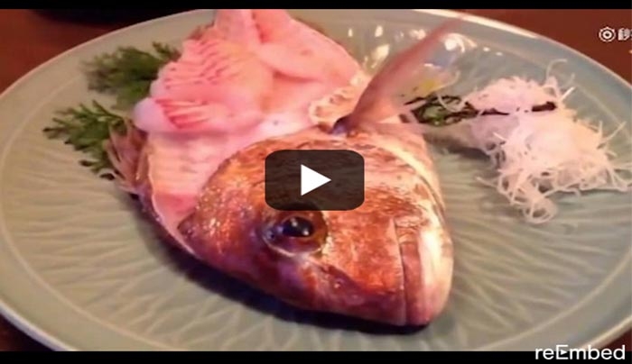 Μισοφαγωμένο ψάρι ζωντάνεψε στο πιάτο!! (Βίντεο)