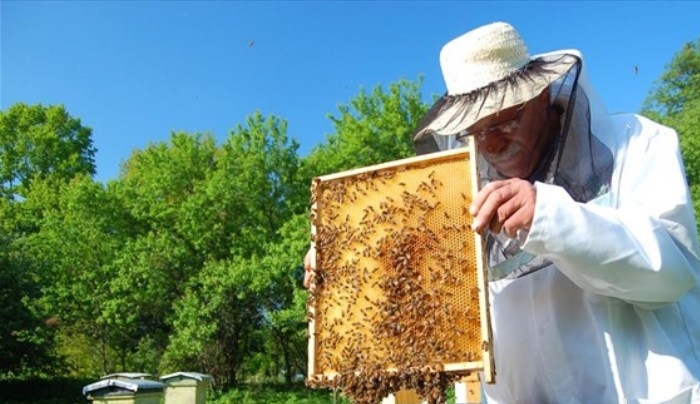 Επιδοτούμενες δράσεις για τους μελισσοκόμους