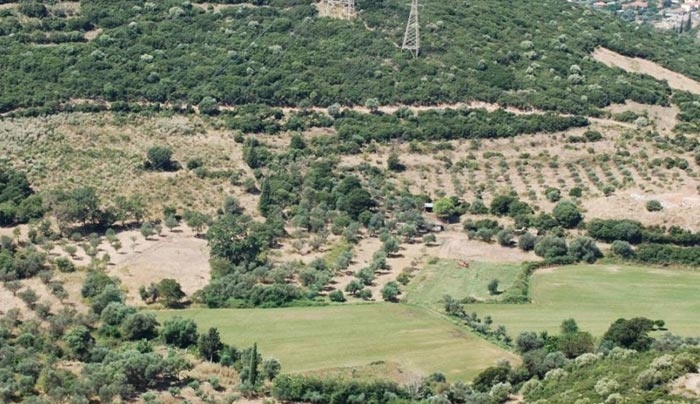 Πώς θα σώσετε τα χωράφια από τους… δασικούς χάρτες