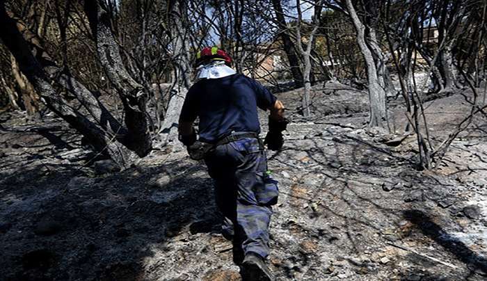 Περισσότερα από 2.800.000 στρέμματα έκαψαν οι 10 πιο ακραίες πυρκαγιές στην Ελλάδα τα τελευταία 20 χρόνια