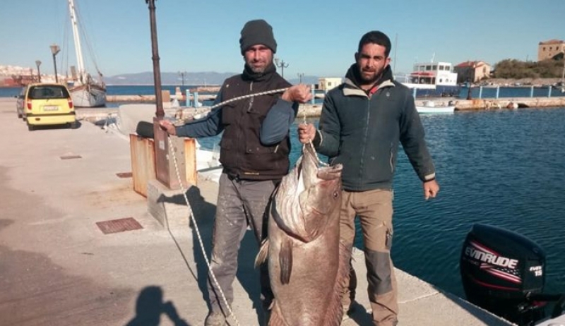 Η ψαριά της χρονιάς στην Σύρο! Έπιασε με το καλάμι του ψάρι 63 κιλών! (photos – video)