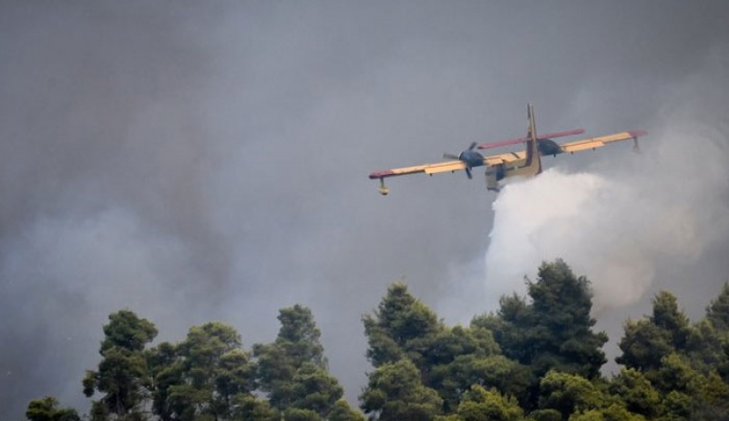 Συνεχίζεται η μάχη με τις φλόγες στην Ηλεία -Τι λένε δήμαρχος &amp; Περιφερειάρχης (φωτο)
