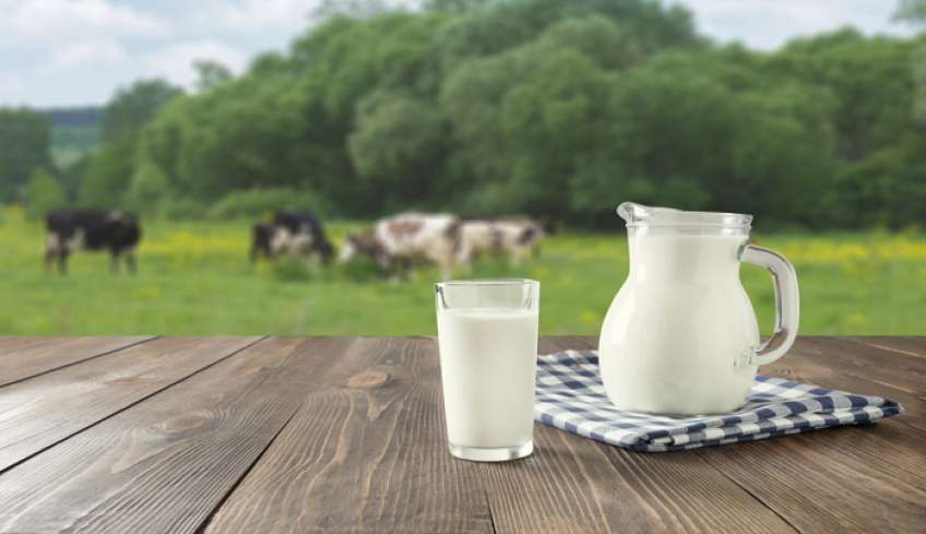 «Είδος πολυτελείας» το γάλα - Μειώνεται η παραγωγή, καλπάζουν οι τιμές