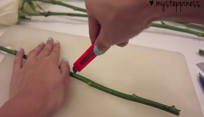 Κόβει σε φέτες ένα τριαντάφυλλο για να δημιουργήσει κάτι πολύ ρομαντικό (Βίντεο)