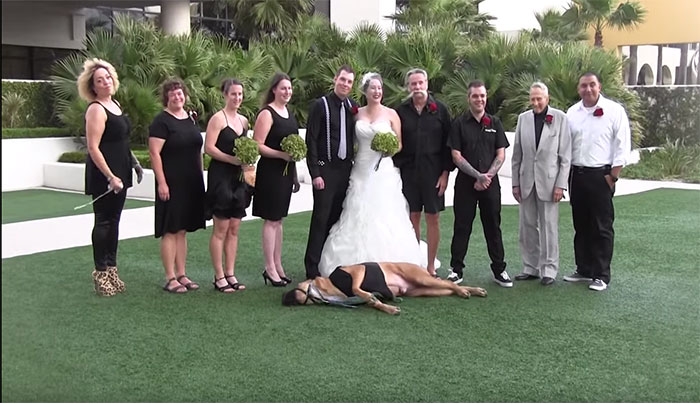 Η φωτογράφιση γάμου όπου την παράσταση κλέβει ένας... σκύλος! (Βίντεο)