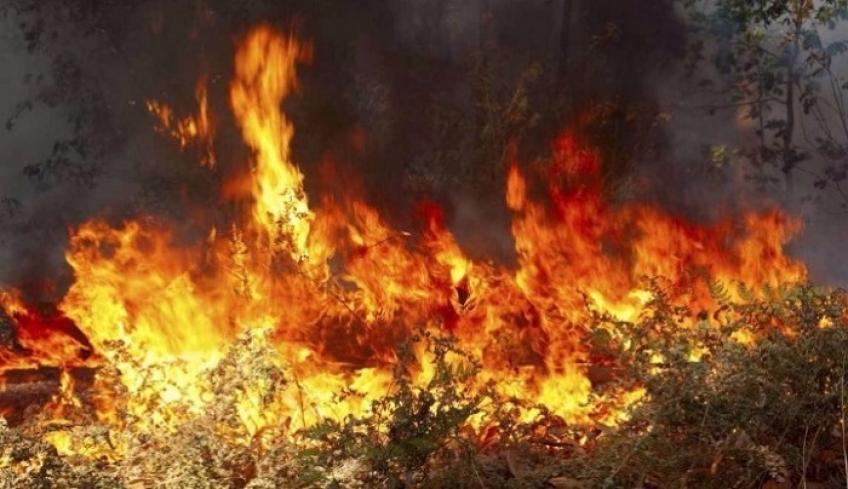 Πυρκαγιά ξέσπασε ταυτόχρονα σε επτά διαφορετικά σημεία στη Λέρο