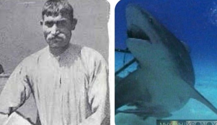 Έλληνες σφουγγαράδες στα σαγόνια του καρχαρία: Το τραγικό τέλος του Καλύμνιου δύτη που έφτασε στη βάρκα μόνο το αριστερό του χέρι...