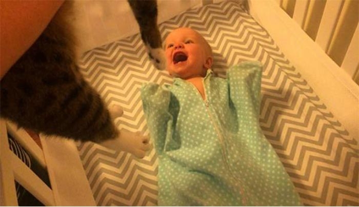 Η απίθανη αντίδραση ενός μωρού που βλέπει για πρώτη φορά μια γάτα (Βίντεο)