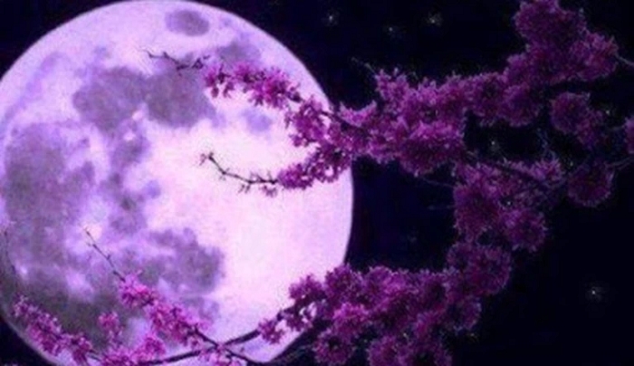 "Φεγγάρι των Λουλουδιών": Eρχεται υπερπανσέληνος και η μοναδική ολική έκλειψη Σελήνης