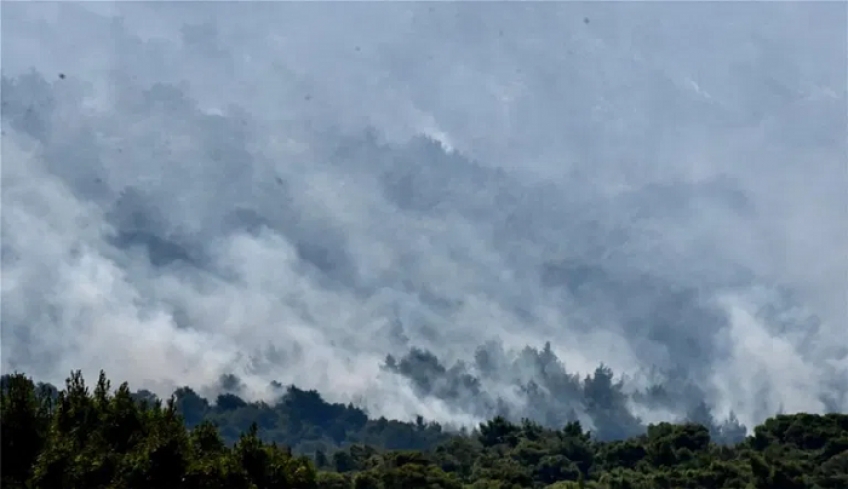 Από ανθρώπινο χέρι σε ελαιώνα η κόλαση φωτιάς στην Κορινθία – Στάχτη 20.000 στρέμματα
